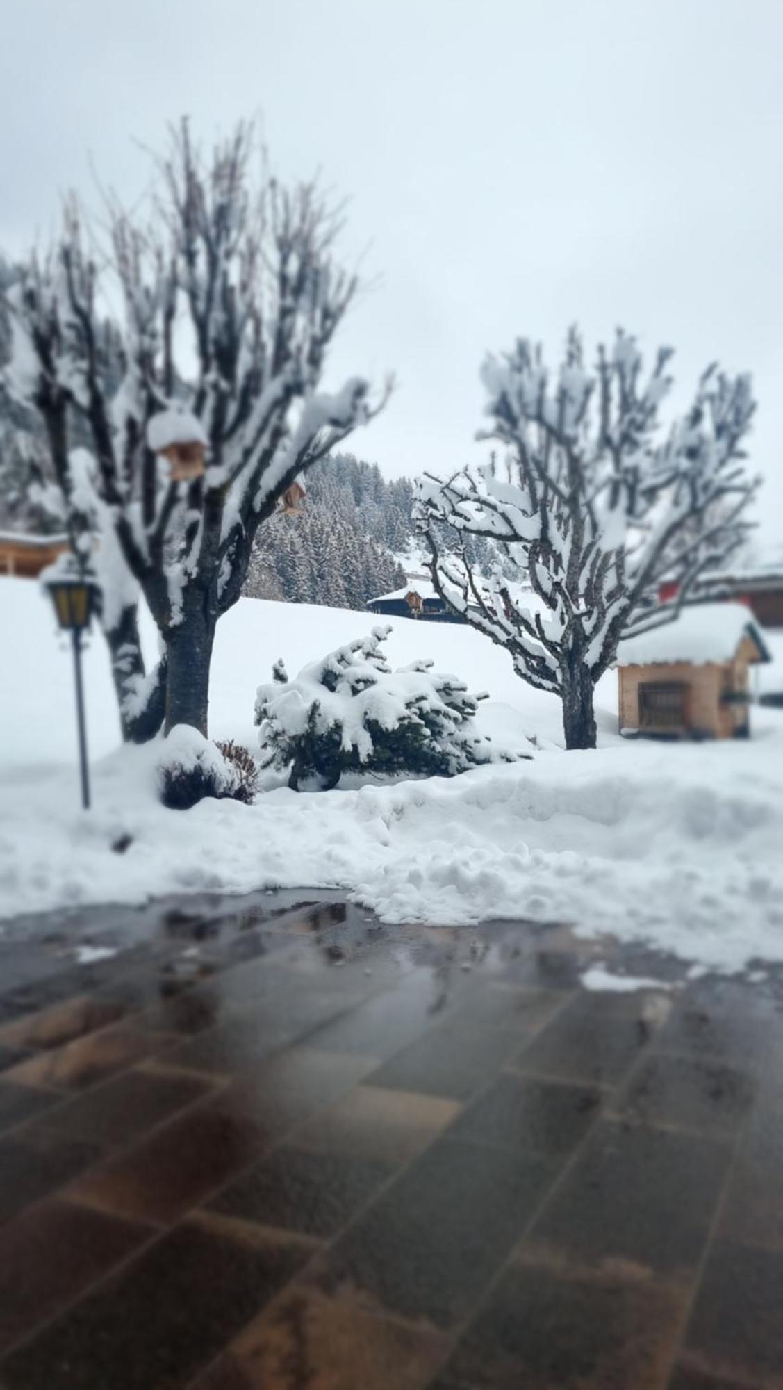 B&B Ciauceia Selva di Val Gardena Exterior foto