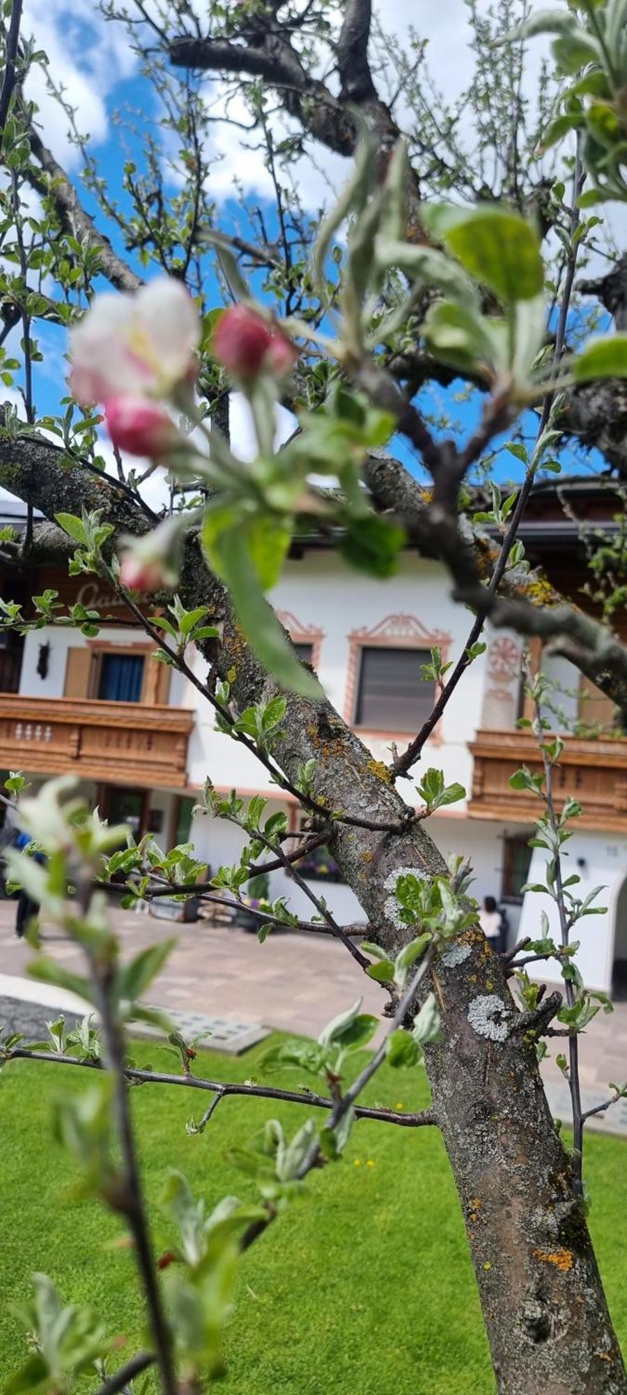 B&B Ciauceia Selva di Val Gardena Exterior foto